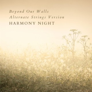 Beyond Our Walls (Alternate Strings Version)