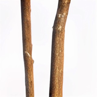 2 sticks