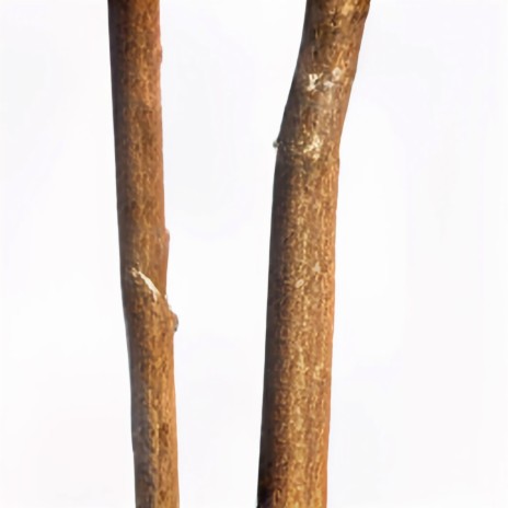 2 sticks