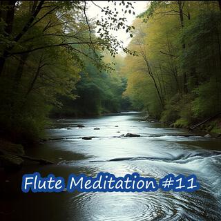 Flute Meditation #11