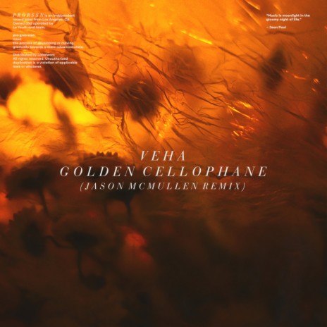 Golden Cellophane (Jason McMullen Extended Remix) ft. Rondo Mo
