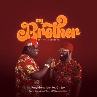 My Brother (a letter to ndi igbo)