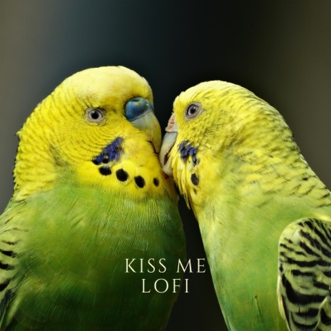 Kiss me (Valentines Special Lofi) ft. Swattrex | Boomplay Music