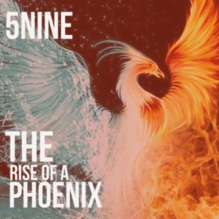 The Rise Of A Phoenix