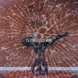75 Conscious Mind
