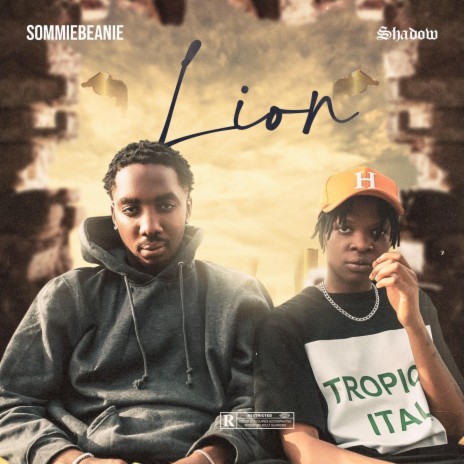 Lion ft. Shadow_001 | Boomplay Music