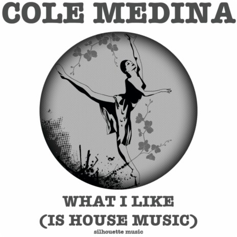 What I Like (Is House Music) (Reinoud Van Toledo Remix) | Boomplay Music