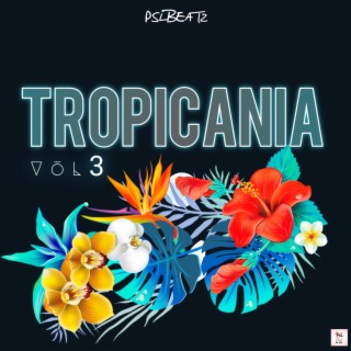 TROPICANIA RIDDIM VOL3 (Bouyon)