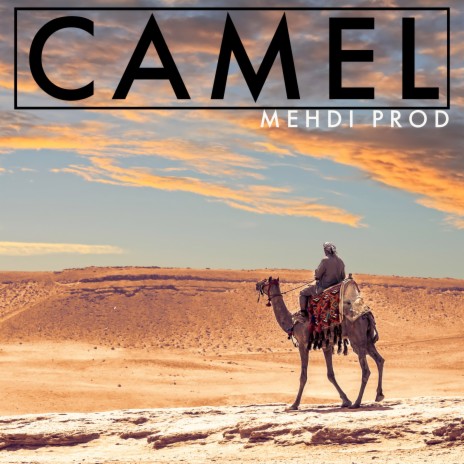 Camel | Boomplay Music