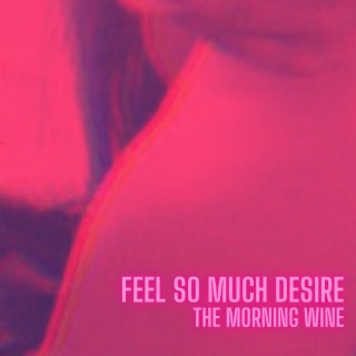 Feel so Much Desire