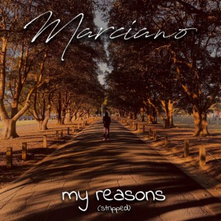 my reasons (stripped)
