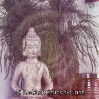 45 Ambient Study Sounds