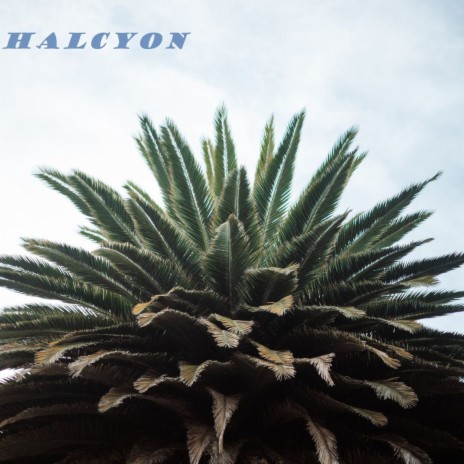 Halcyon | Boomplay Music