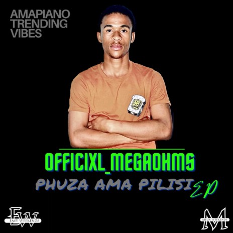 Phuza Ama Pilisi (Ama Apatito) ft. Pretty Palesa & Officixl megaohms | Boomplay Music