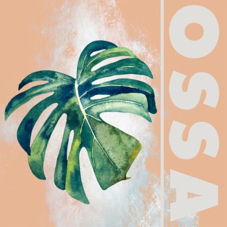 OSSA | Boomplay Music