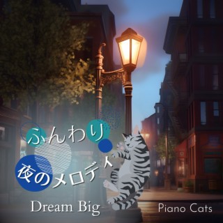 ふんわり夜のメロディ - Dream Big