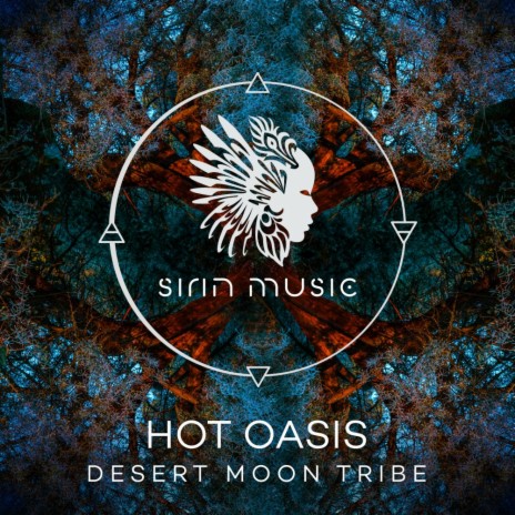 Desert Moon Tribe | Boomplay Music