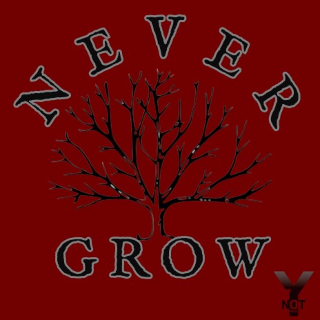 Never Grow | Boomplay Music
