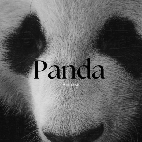 Panda ft. MenaceGotBeats | Boomplay Music