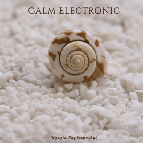 Calm Electronic | Boomplay Music