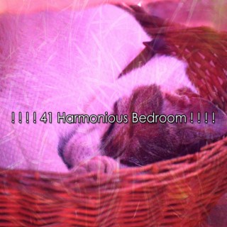 ! ! ! ! 41 Harmonious Bedroom ! ! ! !
