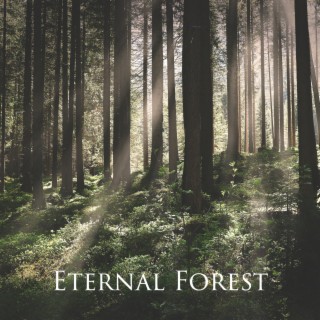 Eternal Forest: Early Spring, Enochian Magic