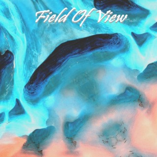 Field Of View