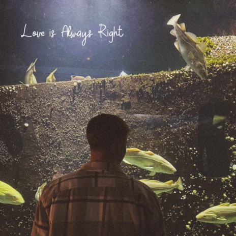 Love is Always Right | Boomplay Music