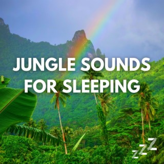 Jungle Rain & Rainforest Sounds