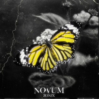 Novum