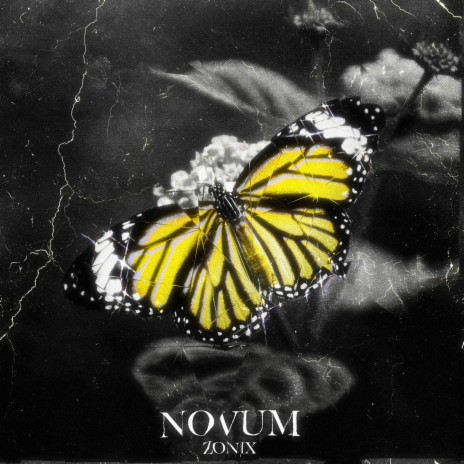 Novum ft. RGM | Boomplay Music