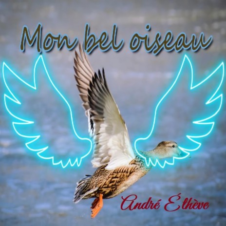 Mon bel oiseau | Boomplay Music