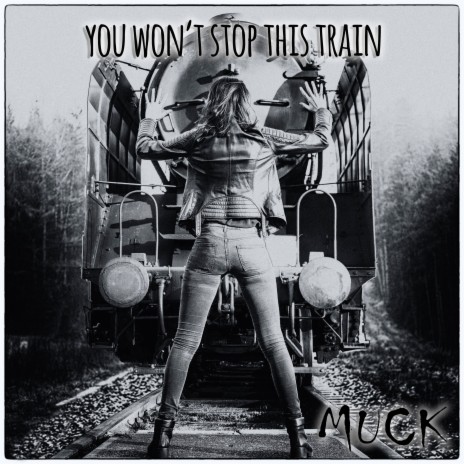 You Won't Stop This Train | Boomplay Music