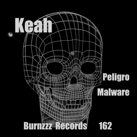 Peligro Malware (Roger Burns Remix) | Boomplay Music