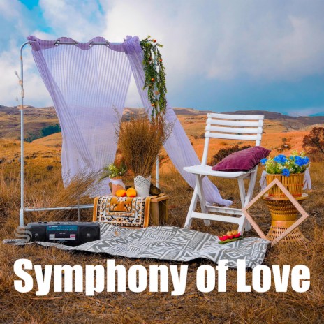 Symphony of Love | Boomplay Music