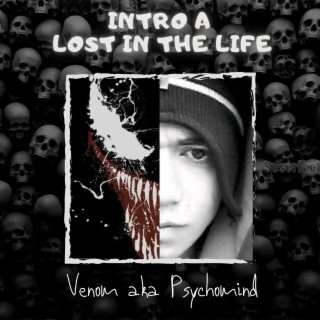 Intro a Lost in the life lyrics | Boomplay Music