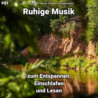 #01 Ruhige Musik zum Entspannen, Einschlafen und Lesen