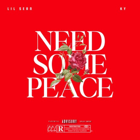 Need Some Peace ft. Ky | Boomplay Music