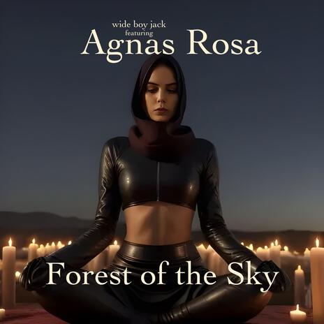 forest of the sky ft. Agnas Rosa