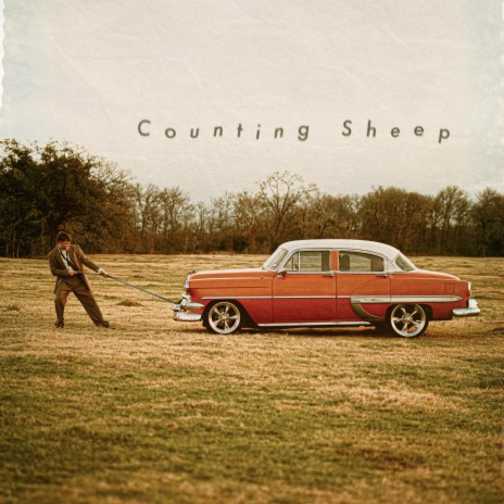 Counting Sheep | Boomplay Music