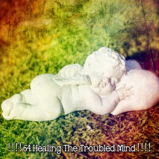 ! ! ! ! 64 Healing The Troubled Mind ! ! ! !