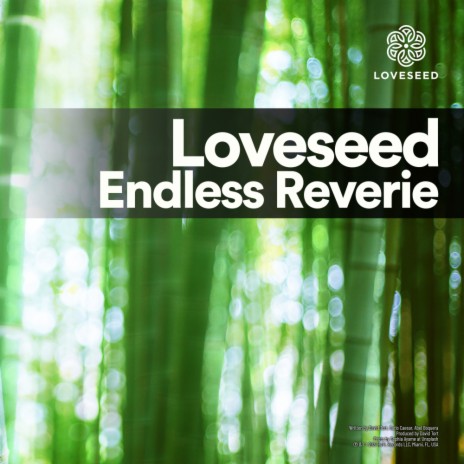 Endless Reverie | Boomplay Music