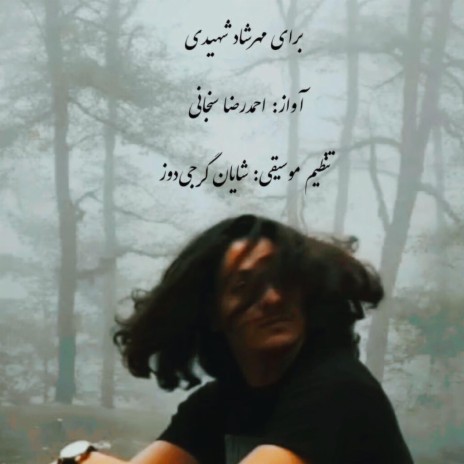For Mehrshad Shahidi برای مهرشاد شهیدی ft. Shayan Gorjidouz, Shajarian & Lotfi | Boomplay Music