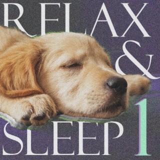 Relax & Sleep, Vol. 1