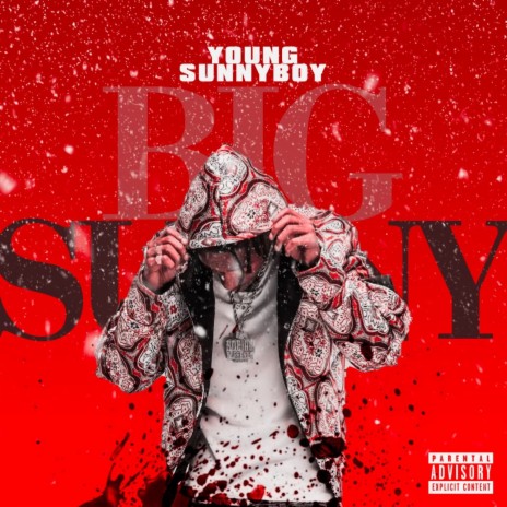 BIG SUNNY | Boomplay Music