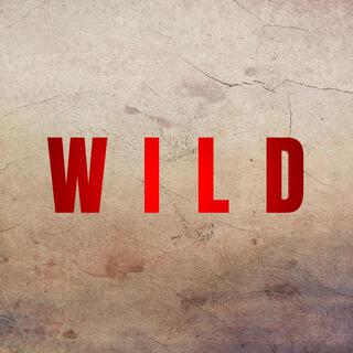 Wild lyrics | Boomplay Music