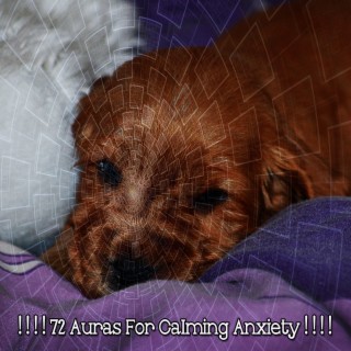 ! ! ! ! 72 Auras For Calming Anxiety ! ! ! !
