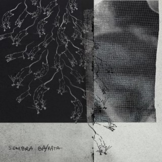 Sombra Ba/rata