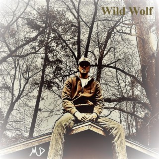 Wild Wolf