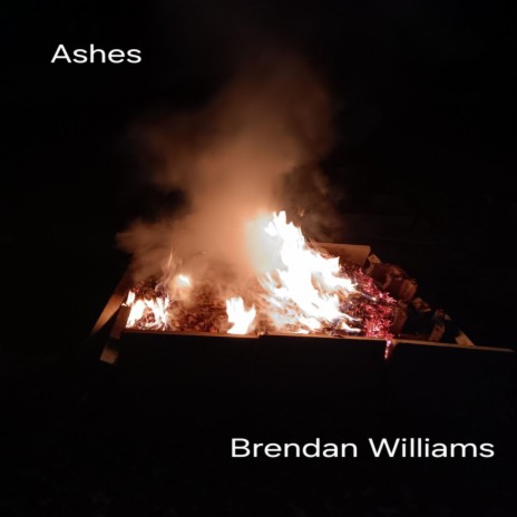 Ashes ft. Troy Whirty | Boomplay Music